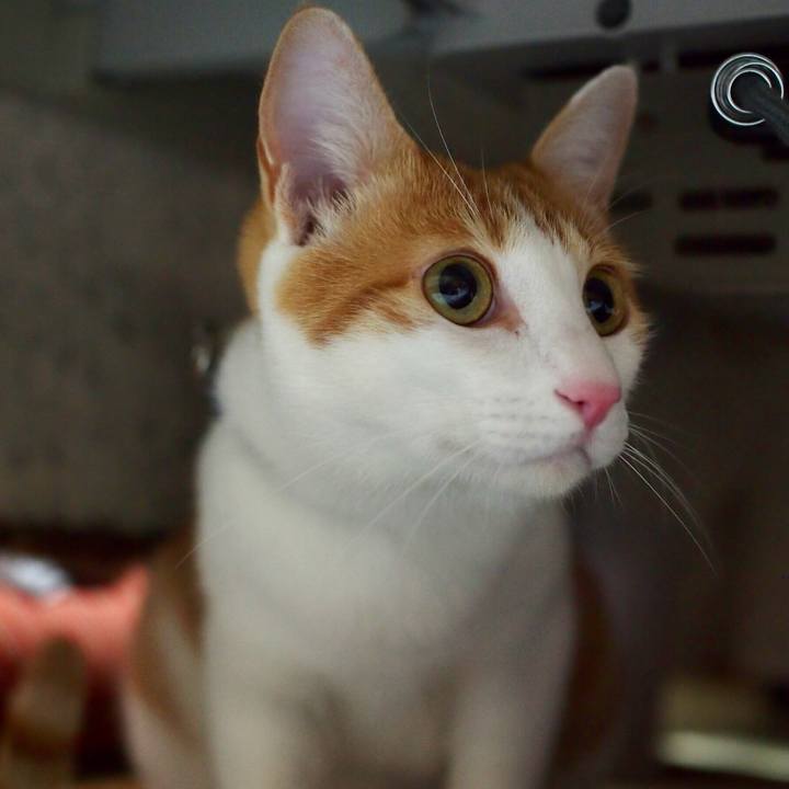 618d7997 47db 485b bbc9 561cf17495e3