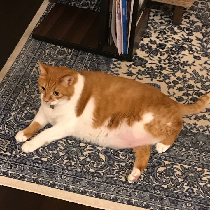 618e3f52 4d35 4c48 a2a9 4cd8f80fa79c