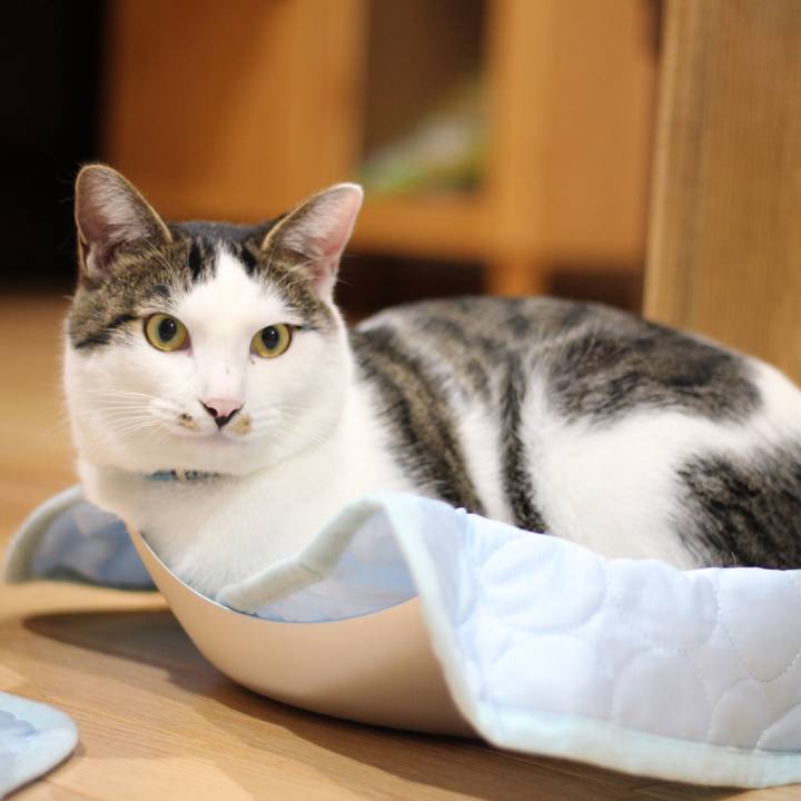 618ec1c4 659f 44a8 86fd a3c59660f93d