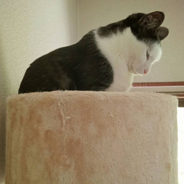 618f7423 da03 43d5 956e 80b8004cb35e