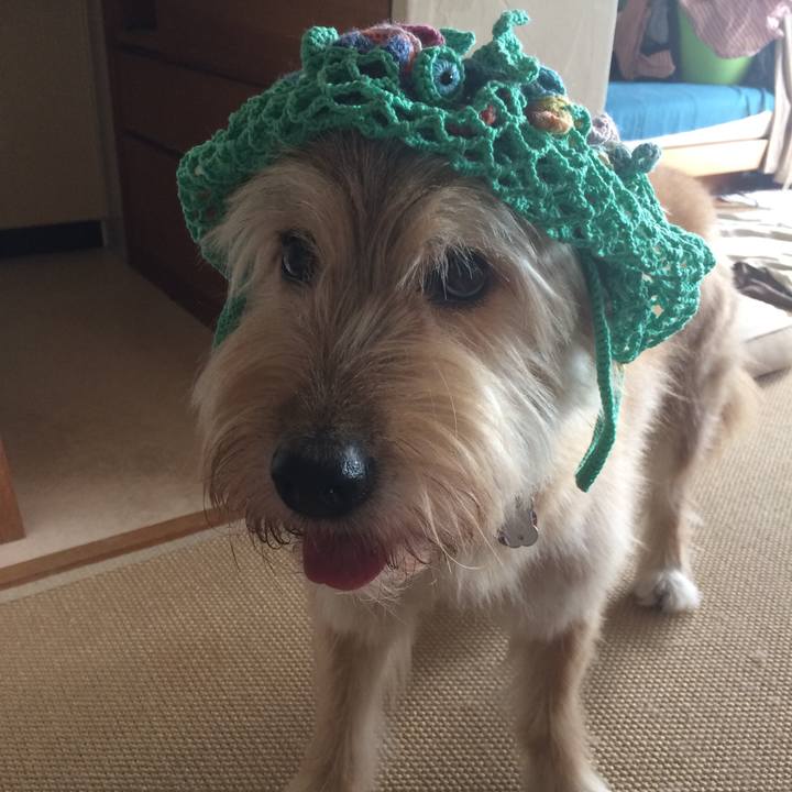 619035dc ee29 4844 b147 d7d45d82f181