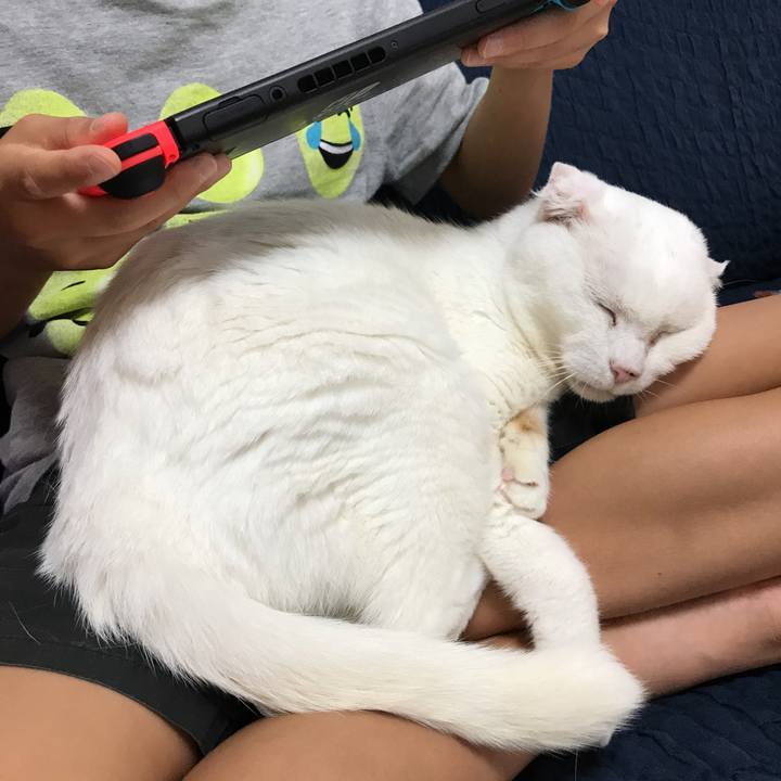 6190764c 2241 4b32 be4e fd6459c6f048