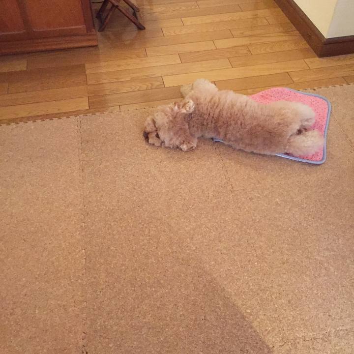 61909a47 4c66 427d 8586 7568c6c87579