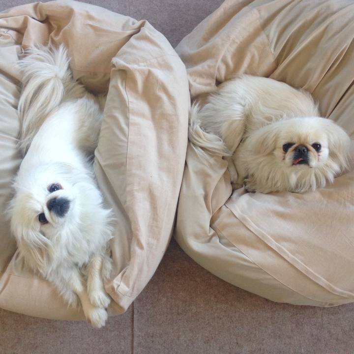 6190ba1d 6963 4344 973b 8ff8ece23775