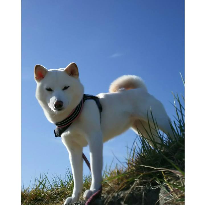 6190d845 648f 4b9d a0b8 7f4f93f99968