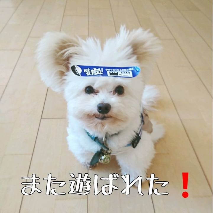 61911310 b902 4d08 9c09 24c42c70e7db