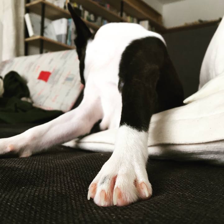 6191968d f2e6 4070 92fa 38ec76f3a21c