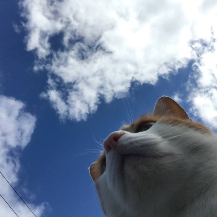 61926a32 98b9 4cfc b5bc 89fd7d4afc80