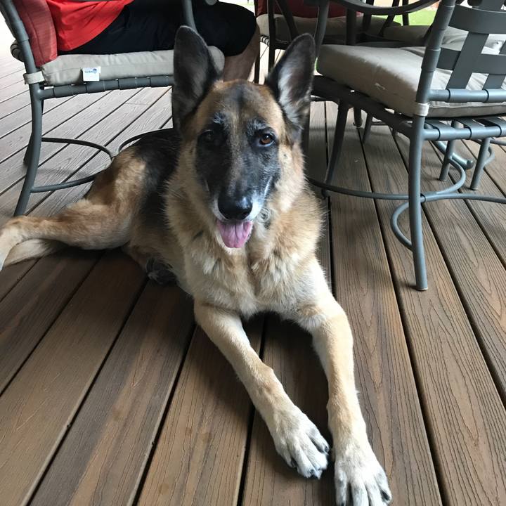 6192989f b45c 406e badc 752f0656b777