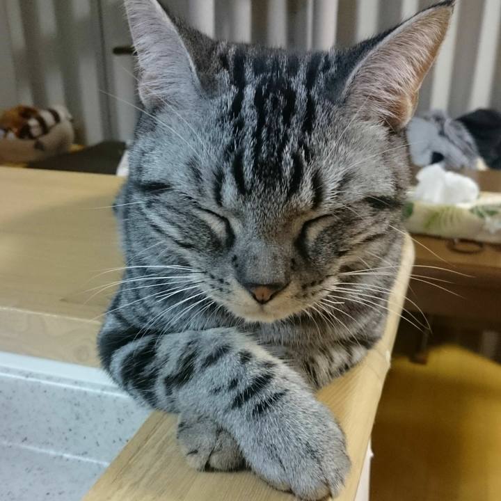 6192ac16 dcd4 4bef 8107 1757d63b001f