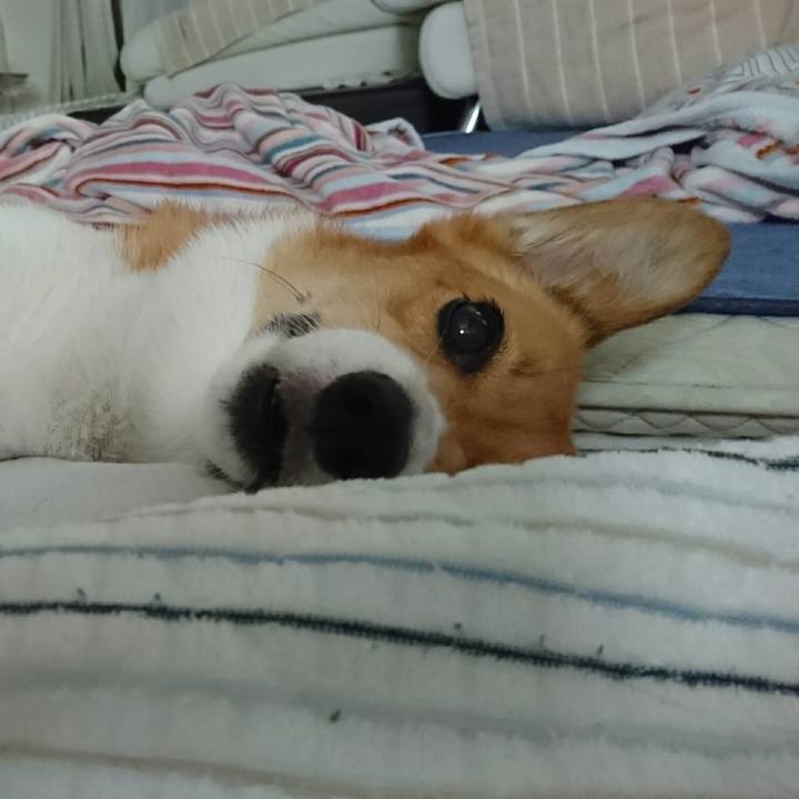 6192d0c9 805b 4a71 aced e0ccbcae0fe5