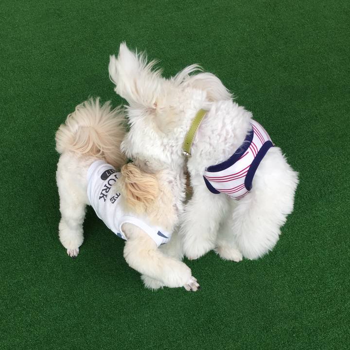 6193684d 40a6 41ef 907a 6fb17953f765