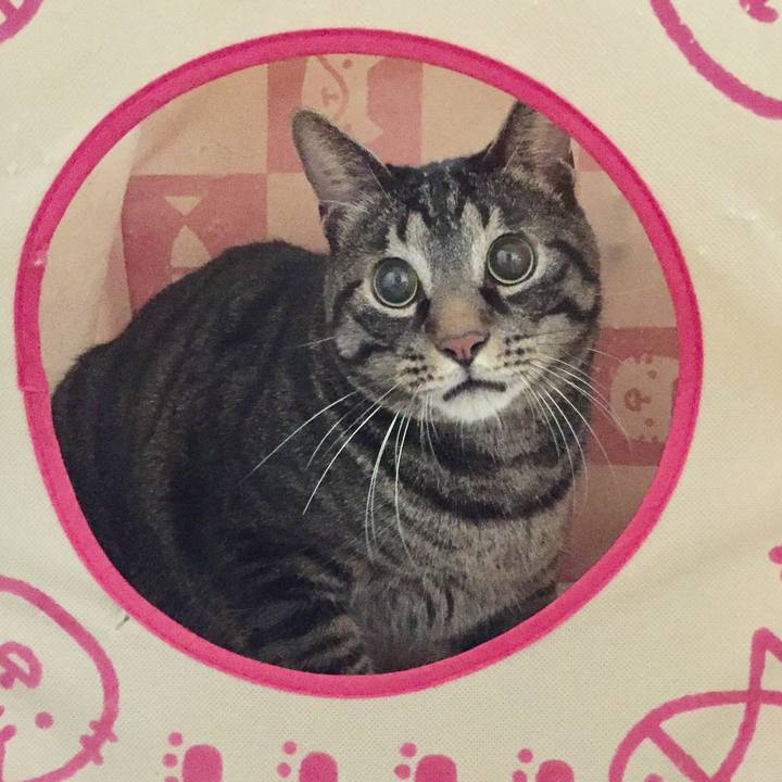 61940ab8 b53e 42c4 9ab9 dffe16ac4b4a