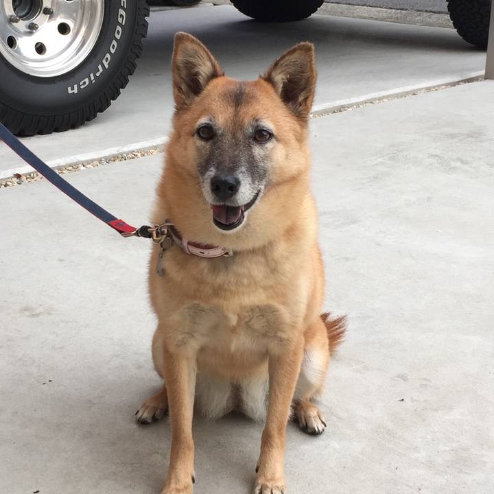 6194a476 a7ed 4972 8b28 a1a34c941d2b