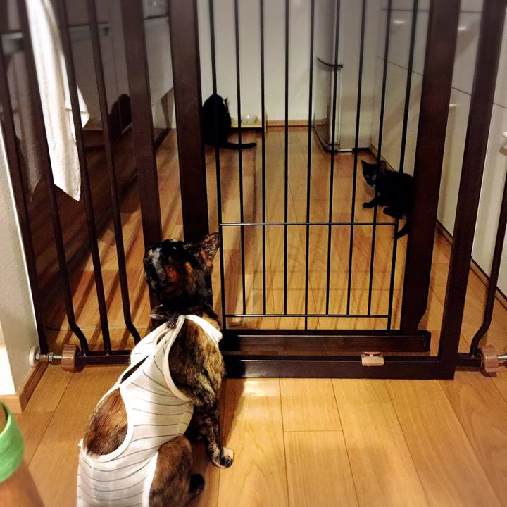 6194dc62 9d4e 4058 987a b90f28440446