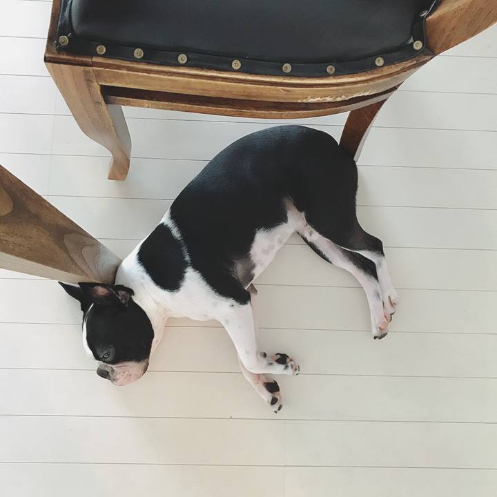 61951a8c cc25 4040 9085 a9edbc3aa6d5