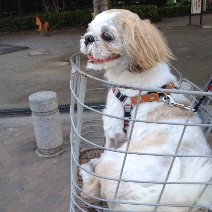 6196016f f4fc 43a4 9c6b f1ee47cf9101