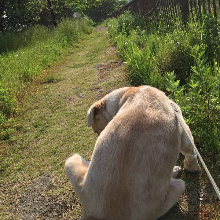 6196bb67 d3fe 4637 8b92 b67ca3bb02e3