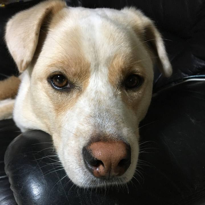 6197f10f d3b5 4e6b 878d c3e1c2306f06