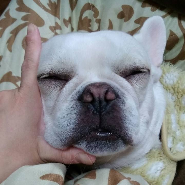 61982e9b 7ded 4168 95ba 6d0d4d98dde0