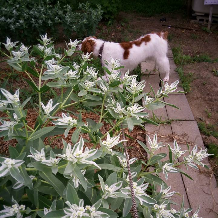 6198c698 0ea8 434c beb2 68995b762145