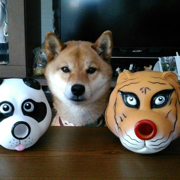 619900c4 7223 4fc2 ba15 8aa68343ddd3