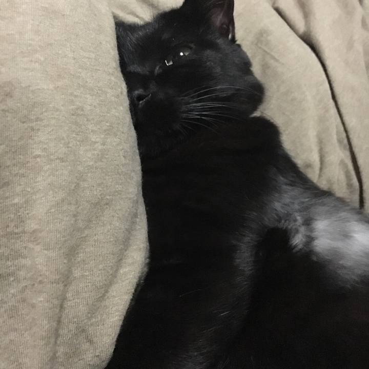 61991cd2 672a 484b a7a5 1a19ba1ed25d