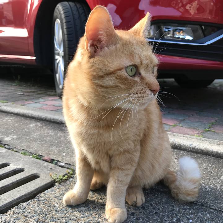 619946c8 3d3a 491b a8c2 f898cc64d93d