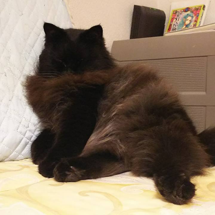 619b77f0 cf07 42c4 8168 acf09cd8914f