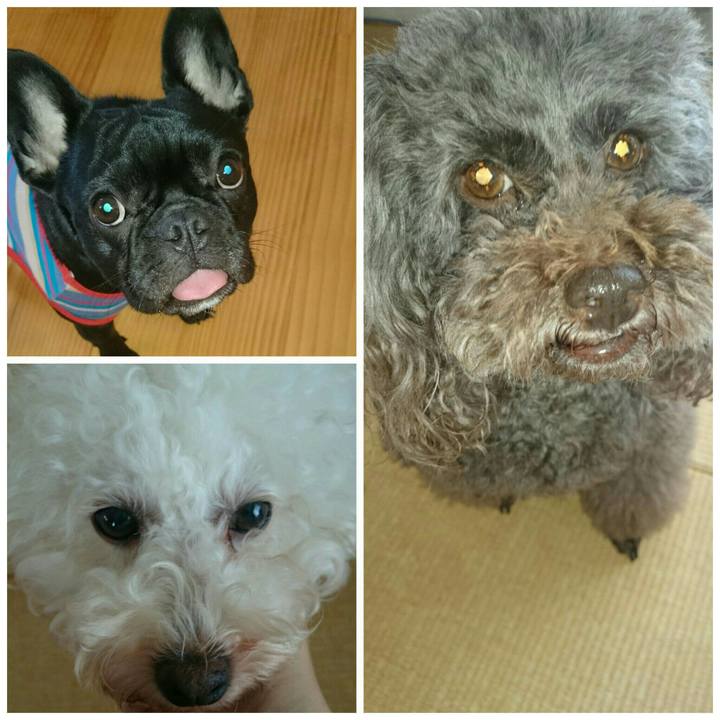 619bd44e 4776 4937 ae88 4c610df17829