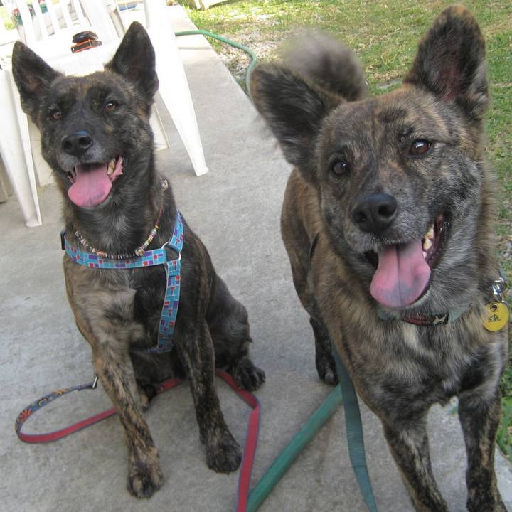 619c295e eaa2 4fa5 8498 13d3bfdba609