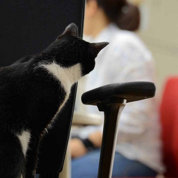 619c6537 02df 4acd b012 467ccc949c32