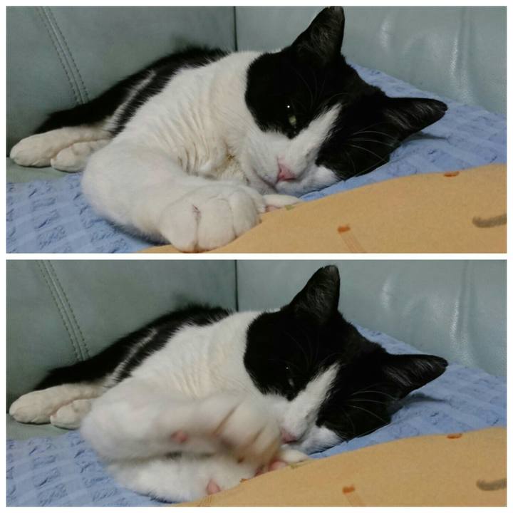 619ccea1 312f 4a5c 8f5e cf680aab4870