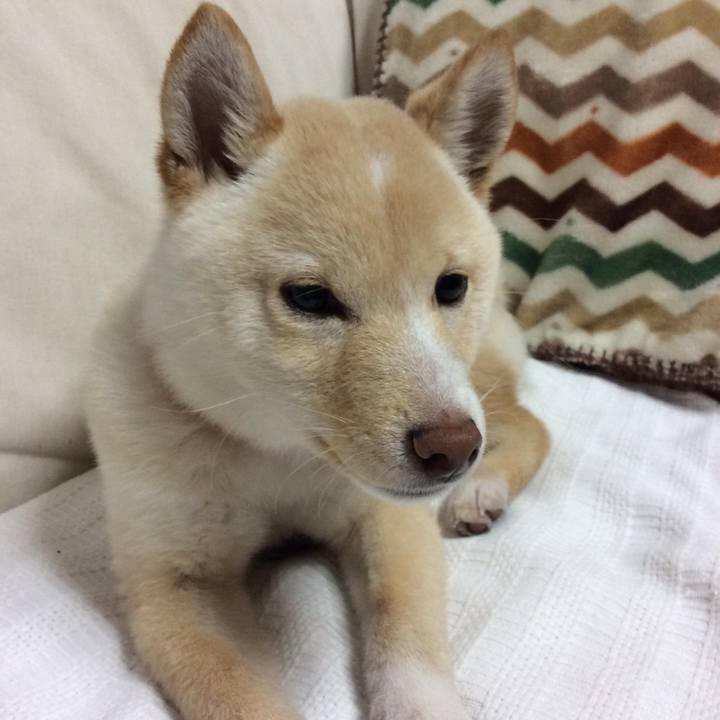 619cd13a 9530 4fda 903a e986b1866a00