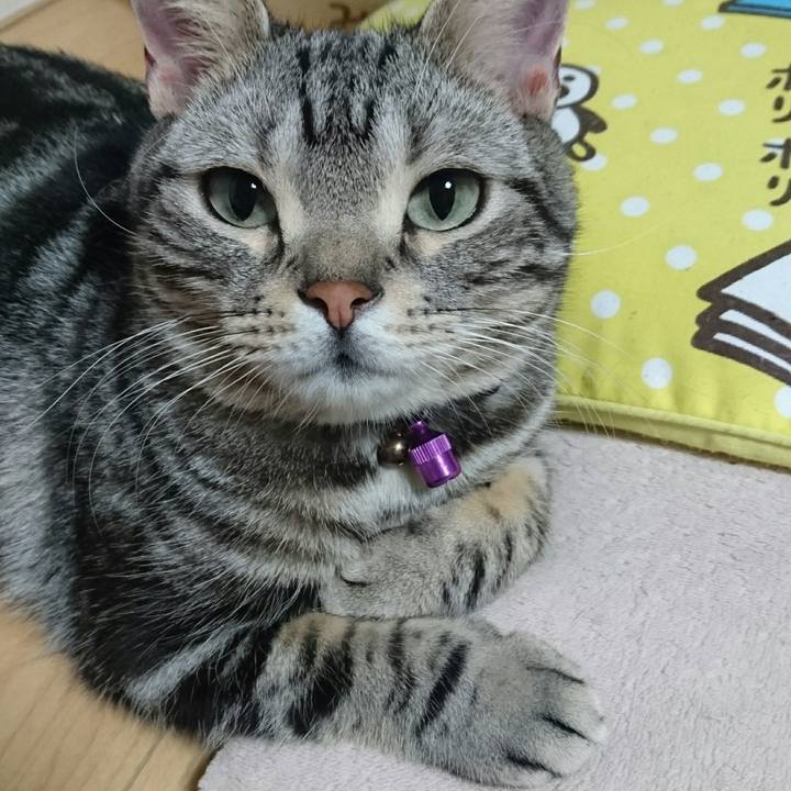 619cd6ef d65f 4c1e bf67 b03738748d1f