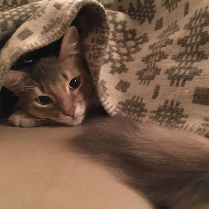 619d110d dc76 4abe b98c 10bdded6b5bc