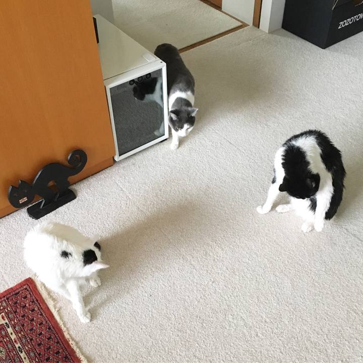 619d6832 ddb8 4400 b8eb 205a5f78dd9c