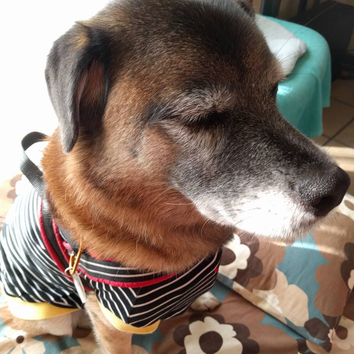 619d9d56 bcc4 42b7 b7ef 9be4675da085