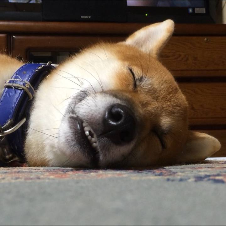 619e55fe b8ce 43ee 903d 1f9d8c96106d