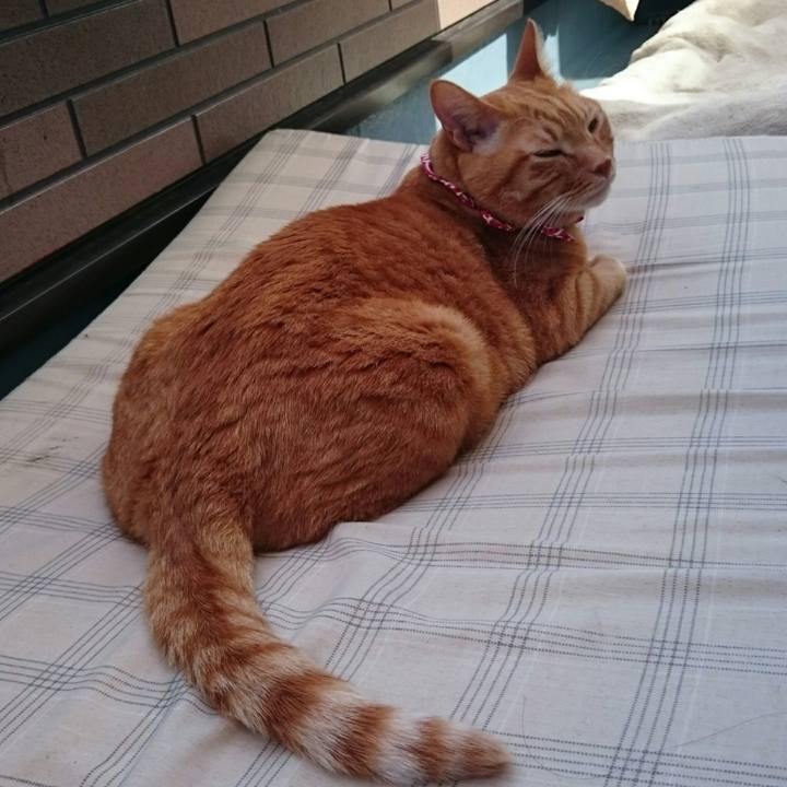 619eb9f3 4cce 4c3c 997b 35ed1ad9def7