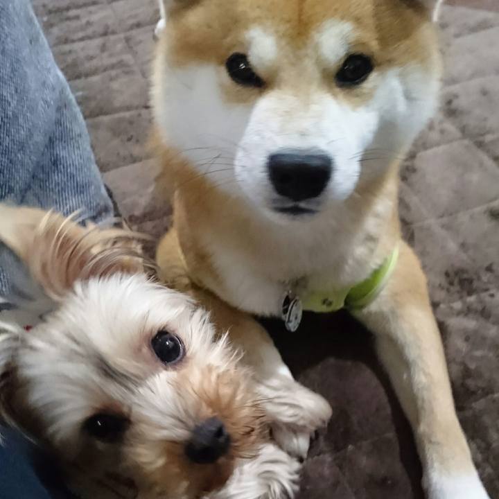 619f1896 d9b7 427b bdfa bbc6ecb6ea4e