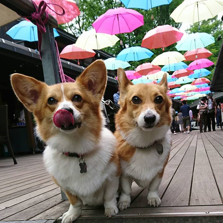 619f2748 8d8f 4675 9cfe 52ffe76ee826