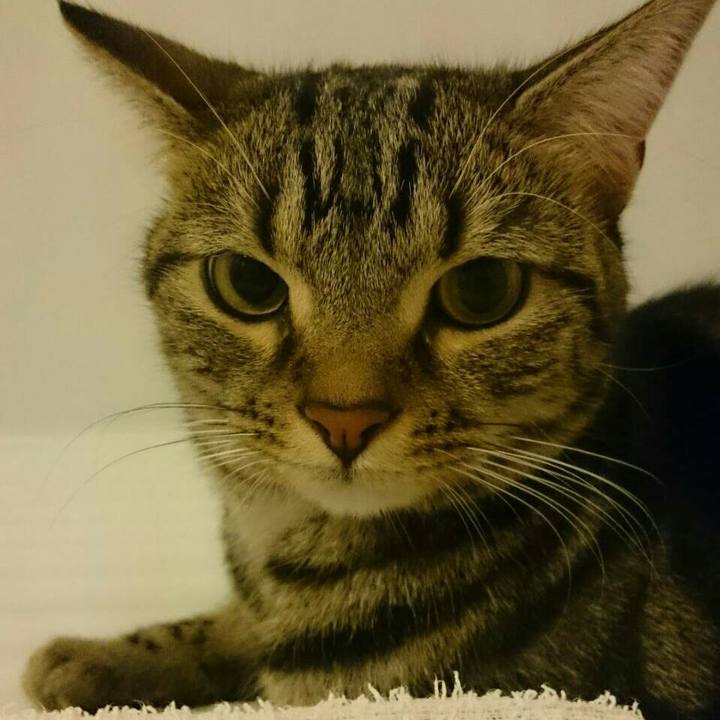 619f36c6 bc4f 4c46 a558 99d94d7e2abc