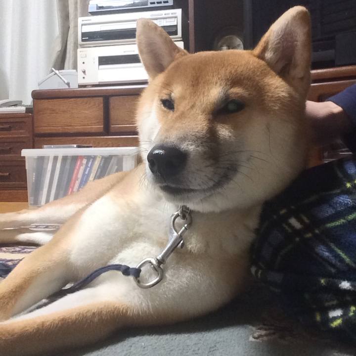 619f5782 9709 47fa b223 ce040fb6ab62