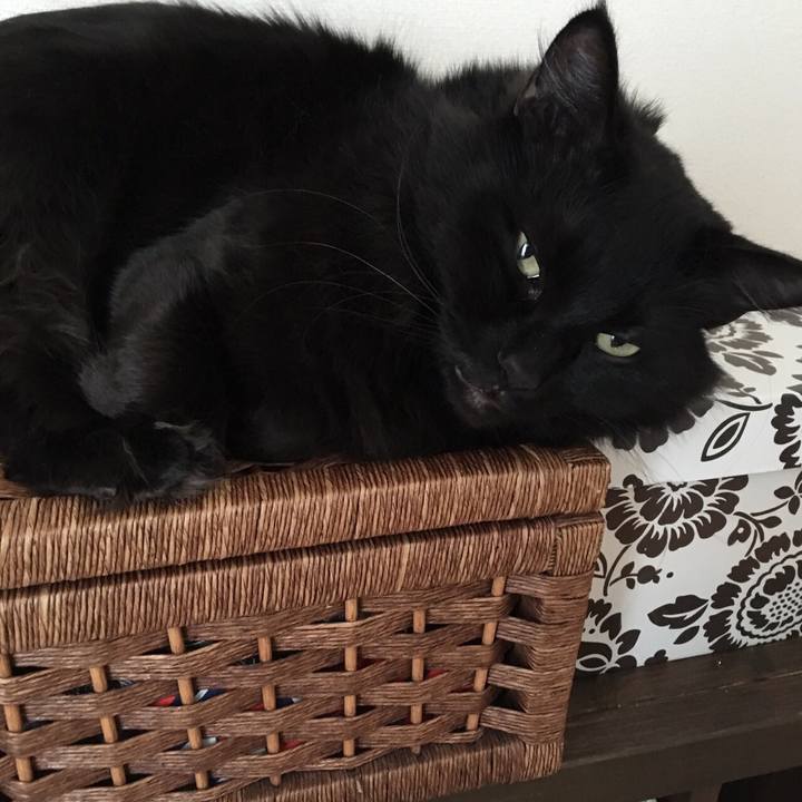 619fba6b ceb0 4f6a a5f7 bf0a22d9259a