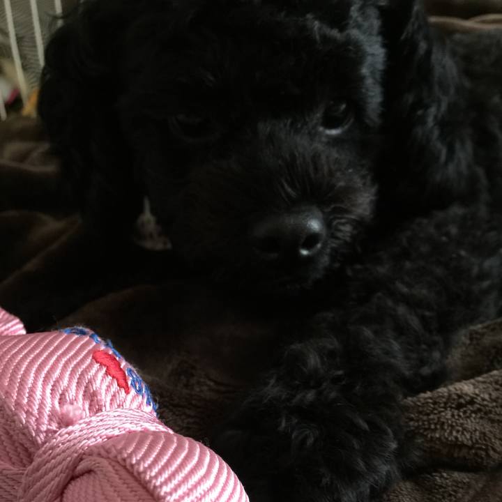 61a0b255 03ea 46de b759 b07a5c5128b4