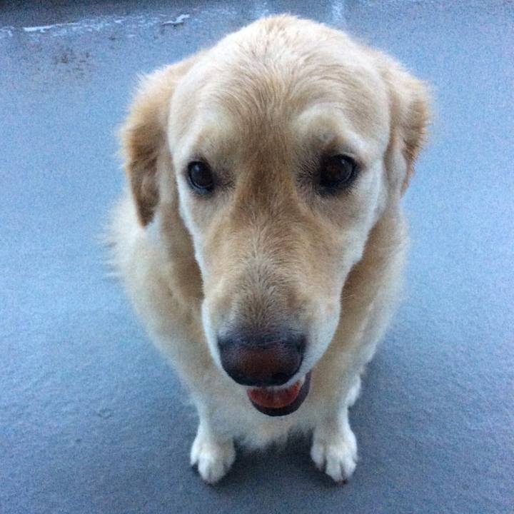 61a0f85b 6cdf 41c2 949c 688bccf4a17d