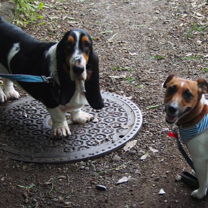 61a162c2 34a5 4b6a 95a5 a666eeac347e