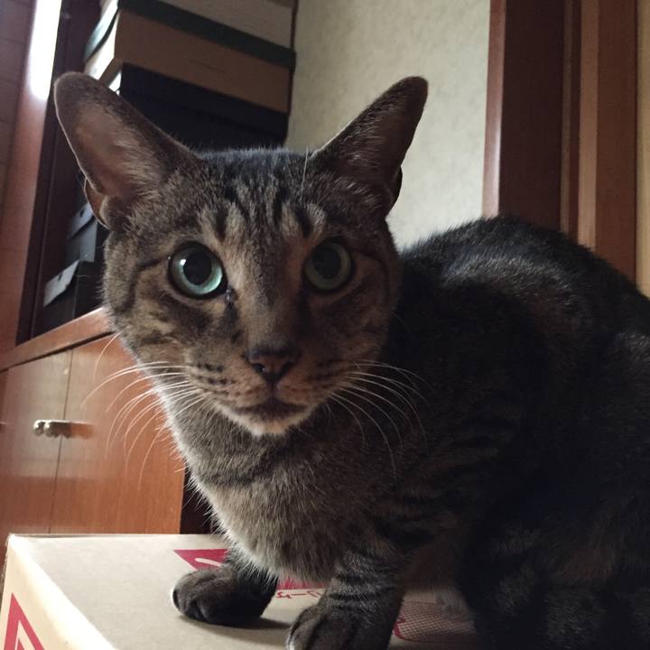 61a24f99 fd27 438c 8696 fb8d15175a38