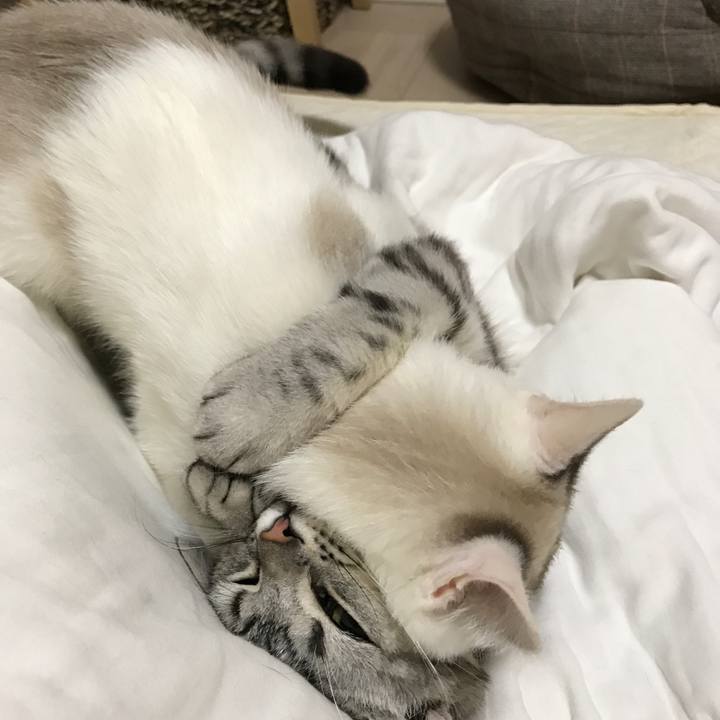 61a30b89 9e34 4407 97ca fe98c624d08e